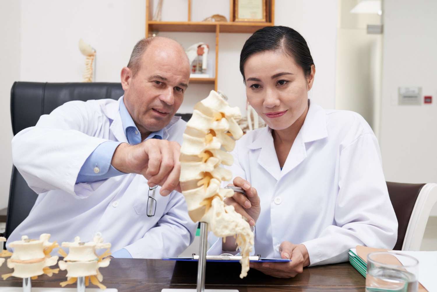 SEO for chiropractors