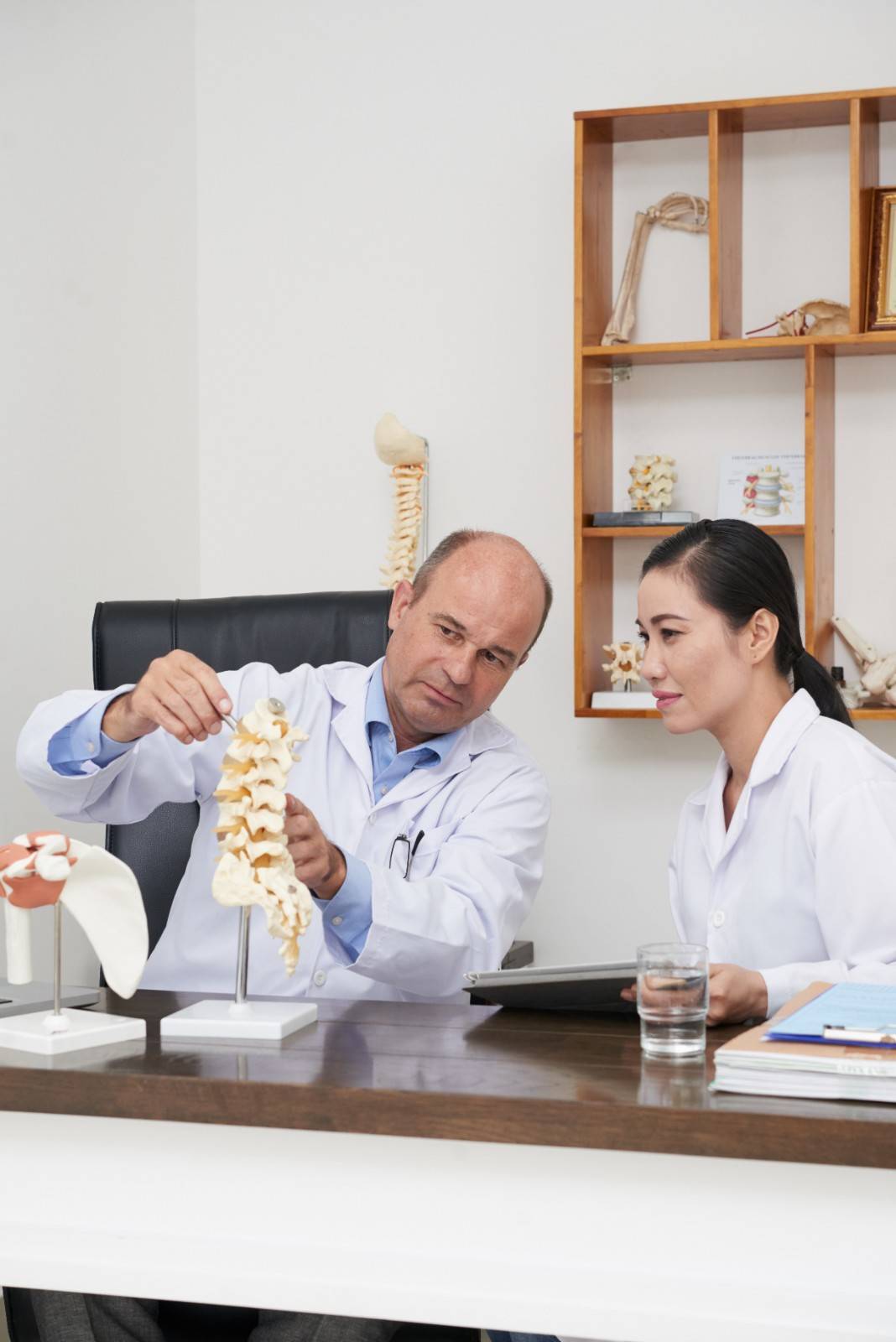 chiropractor SEO